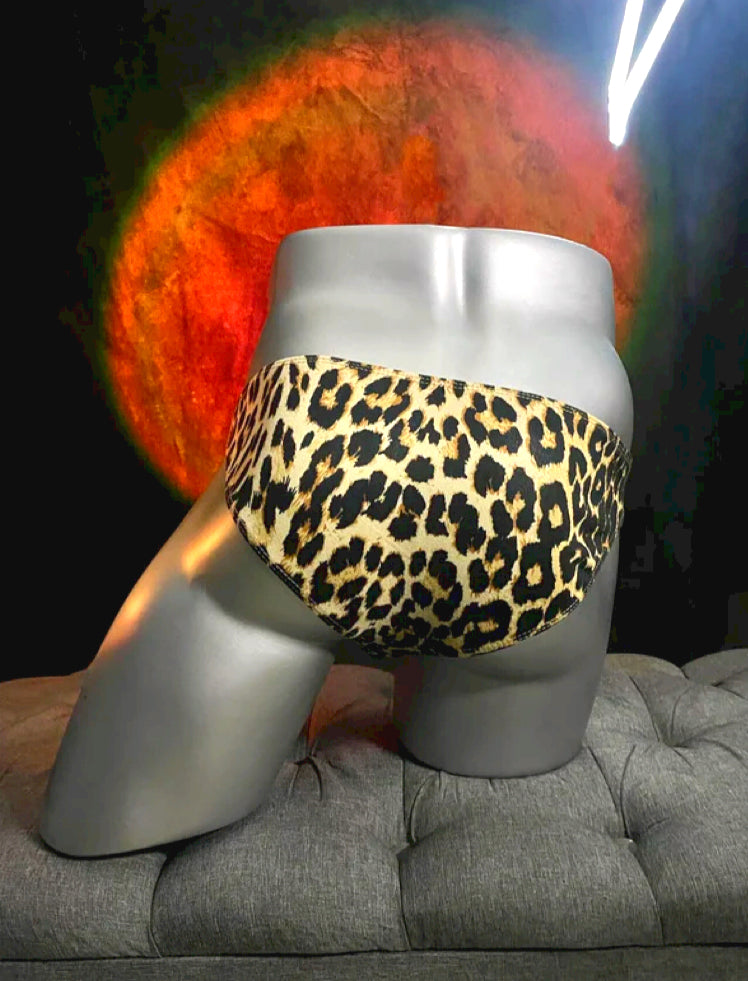Colección de Briefs